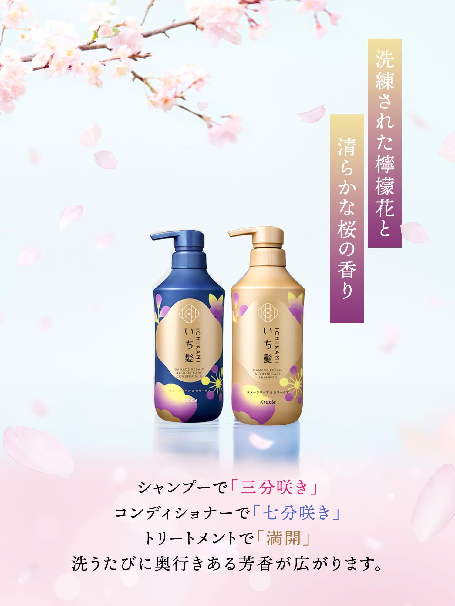 Amazon | いち髪 ダメージリペア & カラーケア シャンプー