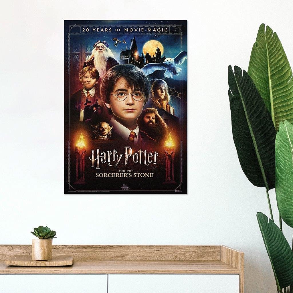 MIGHTYPRINT Harry Potter and the Sorcerer's Stone 20th Anniversary – Durable 17” x 24 Wall Art – NOT Made of Paper – Officially Licensed Collectible MP17240699