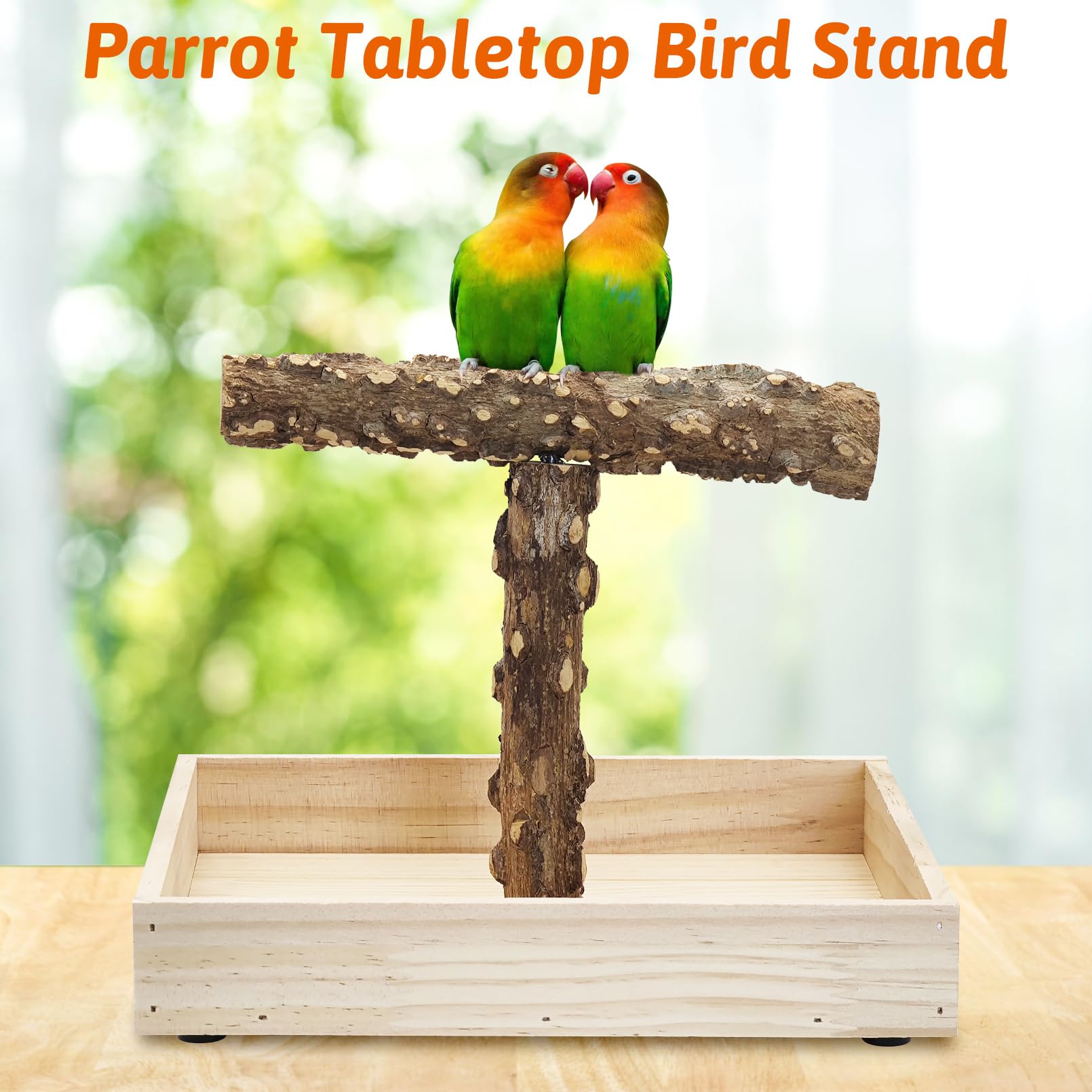 BNOSDM Portable Bird Perch Stand with Potty Tray, Natural Wood Tabletop Training Gym Parrot Playground Toy for Budgies, Cockatiels, Lovebirds,Conures - image 7