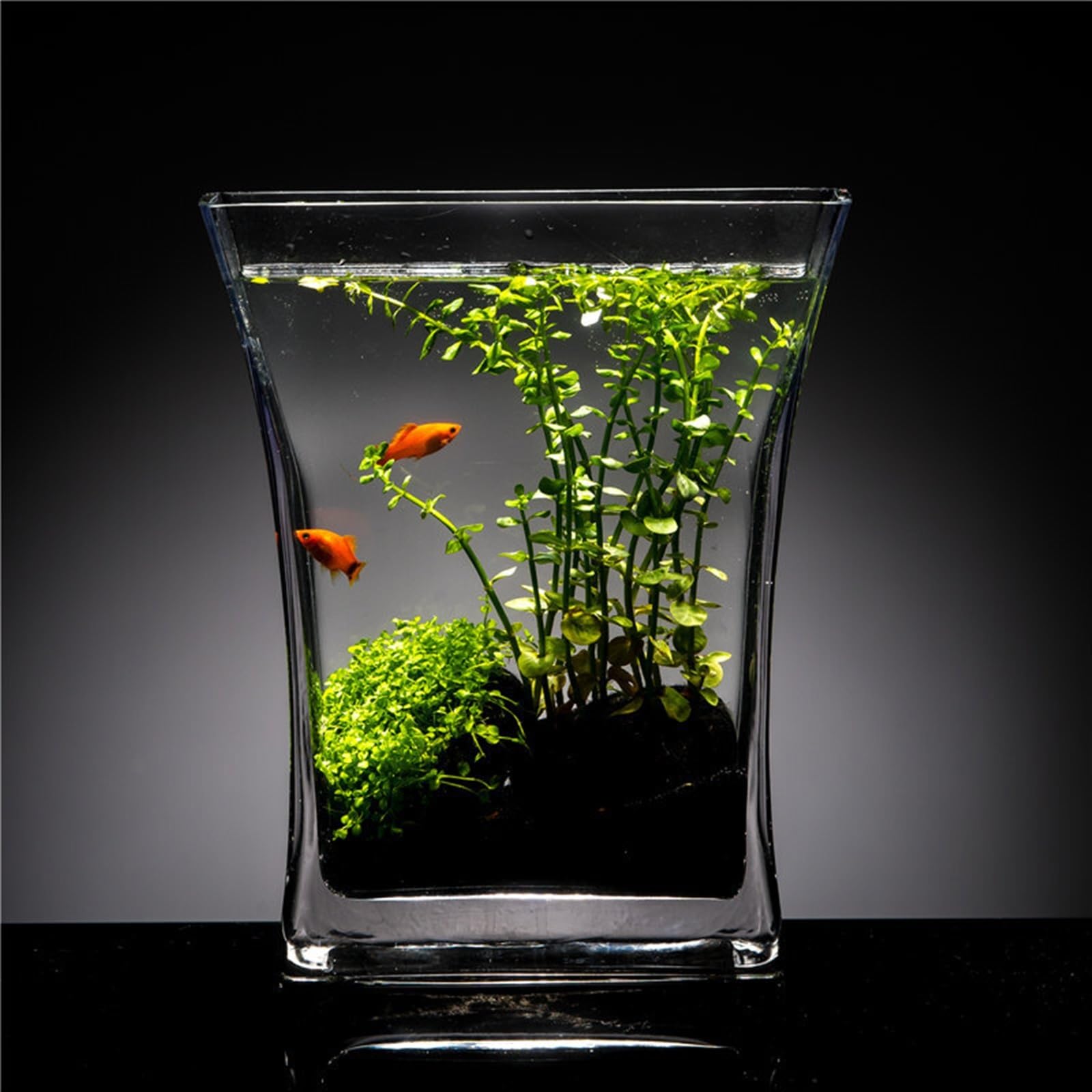 Acquario per Pesci Creativo Acquario in Vetro Trasparente Acquario Ascia Desktop Piccolo Acquario Acquario for Pesci Rossi Ufficio Soggiorno Ornamenti Acquari