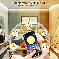Vista 3 de White LED Strip Lights, 100ft Dimmable Bright 24V Led Tape Light with Remote and App Control, 2700K-6500K White 1800 LEDs Lights for Bedroom