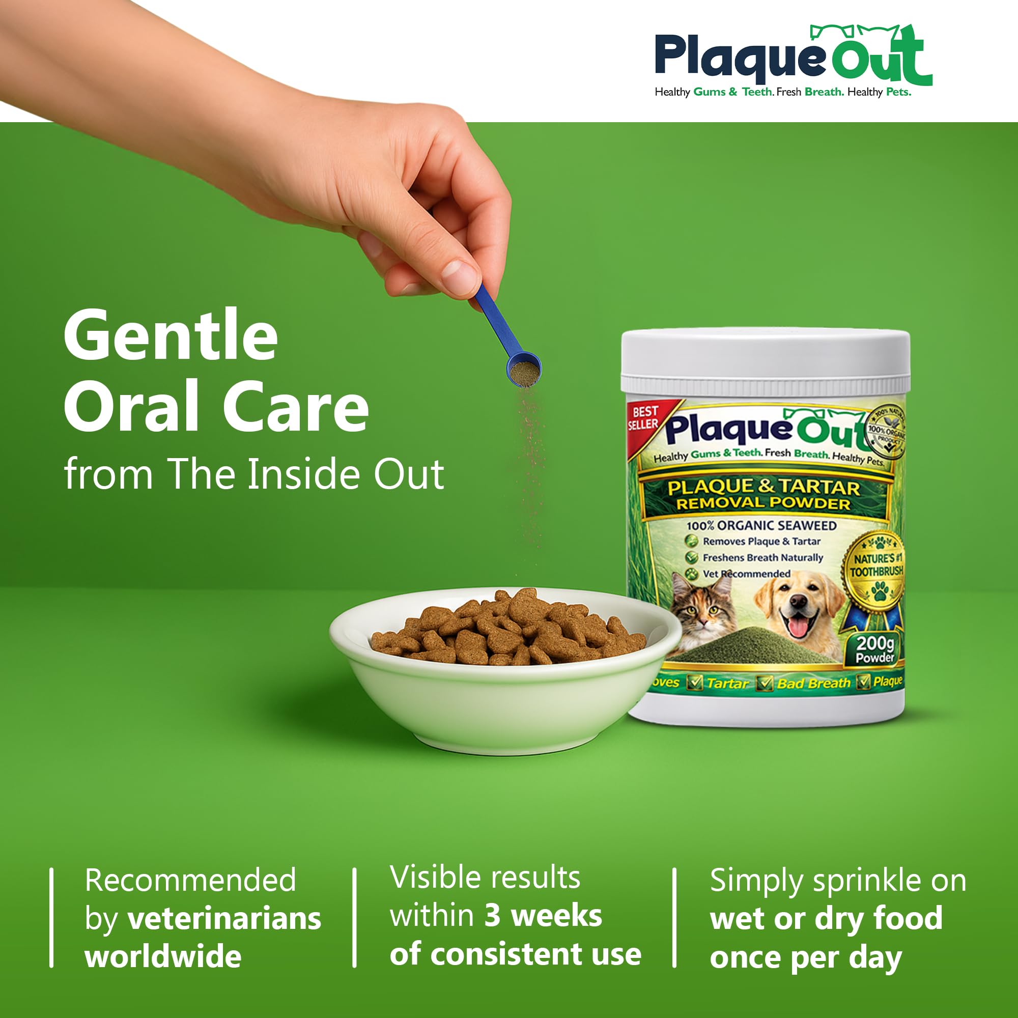 PLAQUE OUT Vasetto da 200 g, per rimuovere la placca tartaro per cani e gatti, 100% naturale e biologico, per la cura dei denti dell'alito cattivo e delle gengive degli animali domestici, vaso più