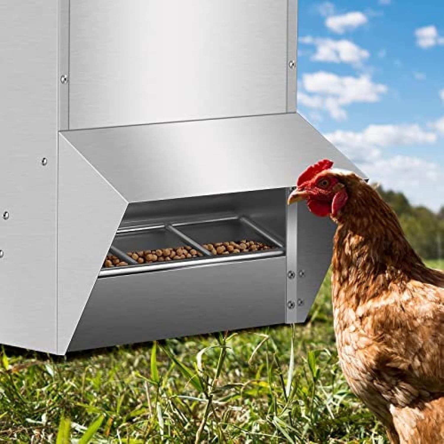 Automatic Chicken Feeder System - 30-50lb Capacity Galvanized Feeder Metal Trough for Poultry and Rabbits,30lb