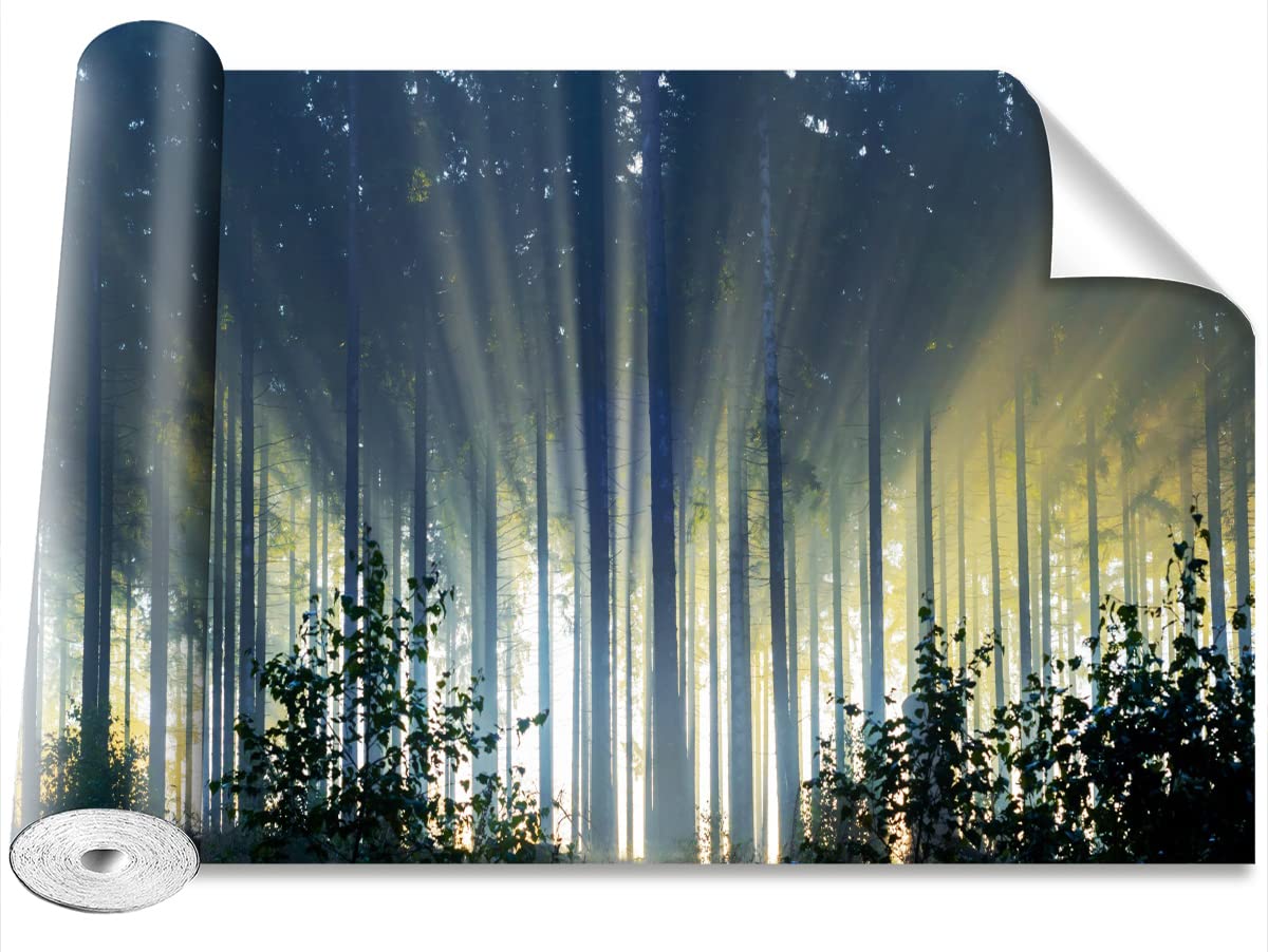Papier peint stickers muraux forêt d'épinette Tulup camouflage moderne 312x219