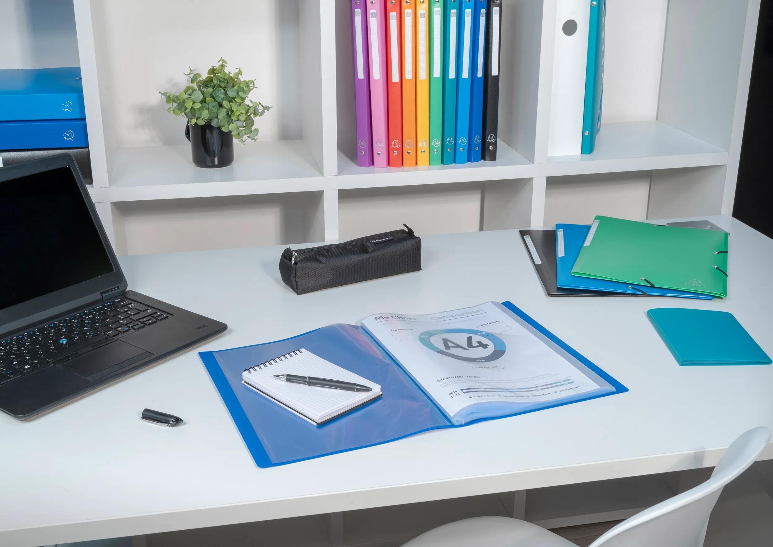 Exacompta 88113E 8er Pack Sichtmappe Opak aus blickdichtem Kunststoff DIN A4 mit 100 Kristallhüllen perfekt für die Schule und das Büro Aktenhülle, Prospekthülle, grün