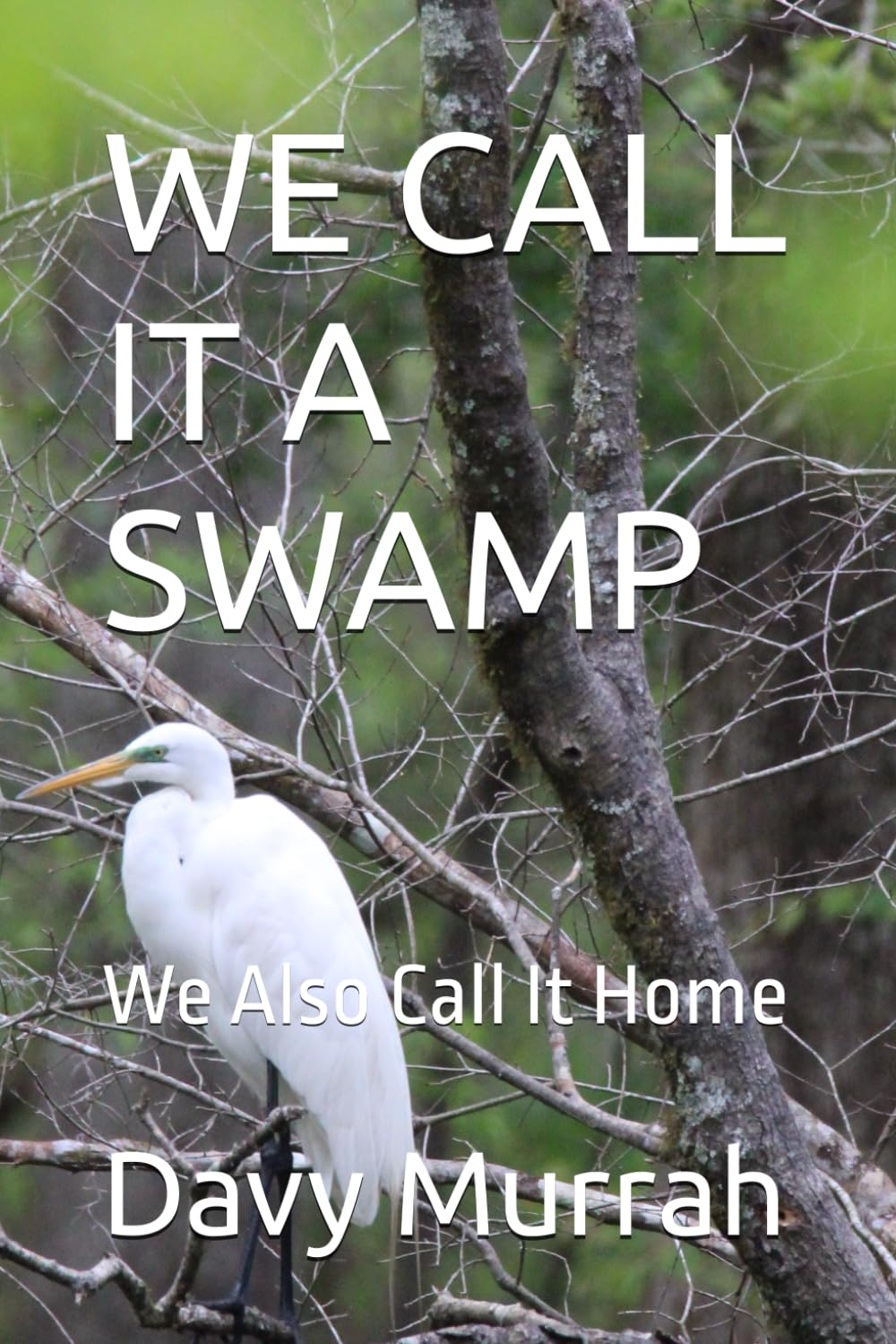 WE CALL IT A SWAMP: We Also Call It Home