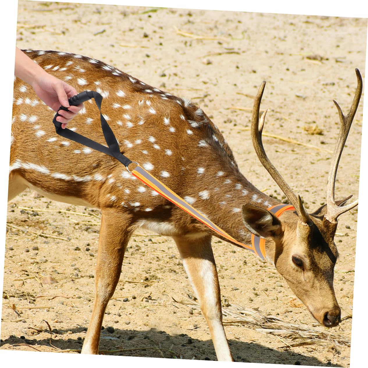 BESPORTBLE 2pcs Hunting Deer Belt Convenient Nylon Rope Portable Hunting Strap Sturdy Hunting Strap Deer Hunting Gear Heavy Duty Deer Carrier Deer Drags Harness Adjustable Ribbon