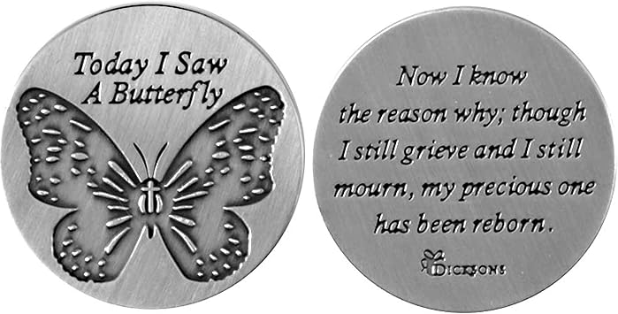 Today I Saw A Butterfly Silver Toned 1 x 1 Inch Zinc Alloy Pocket Stone