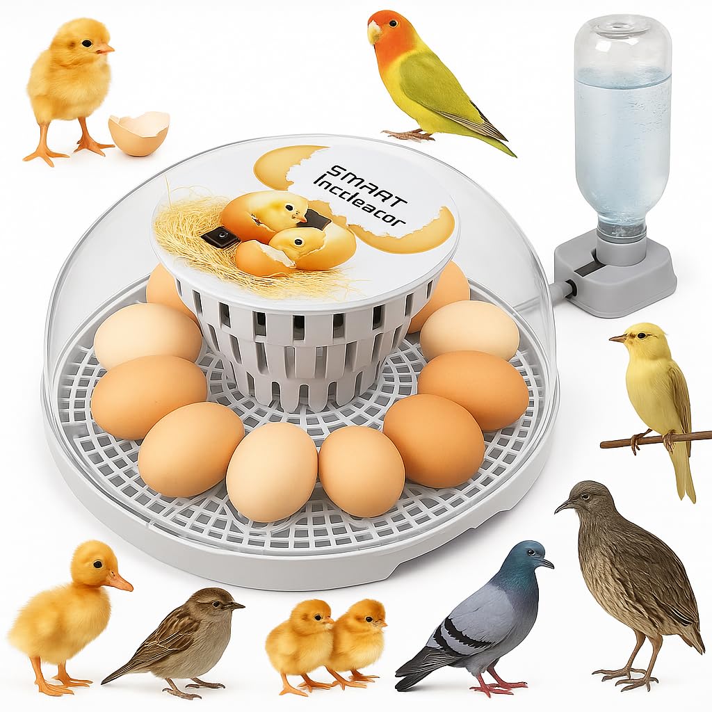 Egg incubators for Hatching Eggs, Automatic Egg Turning 12-24 Poultry Incubator with Temperature Control,Automatic Water Adding,℉ Display,360° View for Hatching Chickens, Duck,Quail,Goose Eggs (M12)