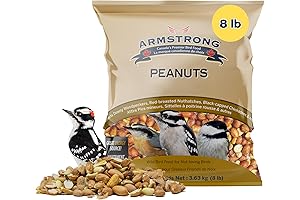 Armstrong Wild Bird Food Shelled Peanut Halves For Birds
