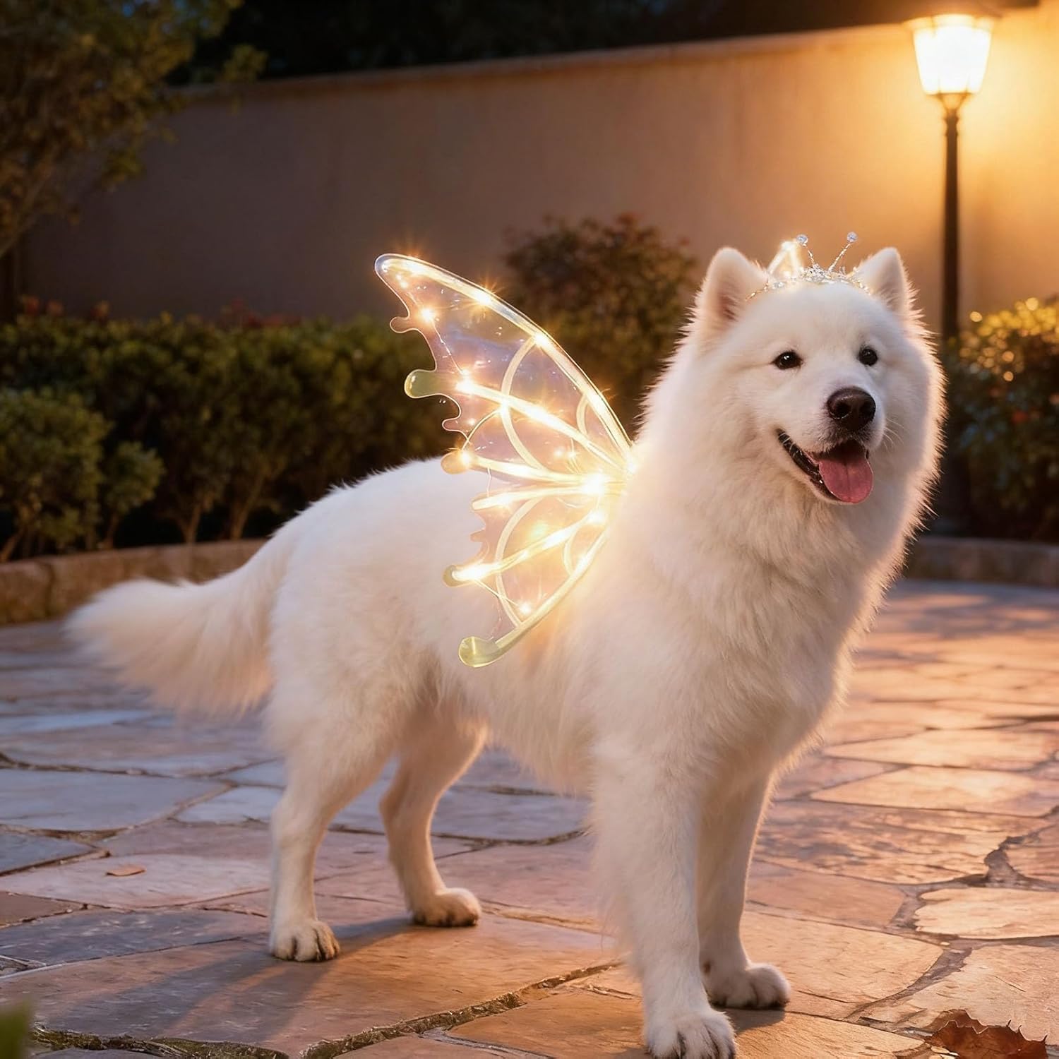 Dog Fairy Wings, Pet Fairy Wing Costume Accessory Built with Soft, Adjustable Strap Lightweight Butterfly Style Decorative Wings, Flexible Comfortable Wearable Ornament for Pet Cosplay and Outdoor