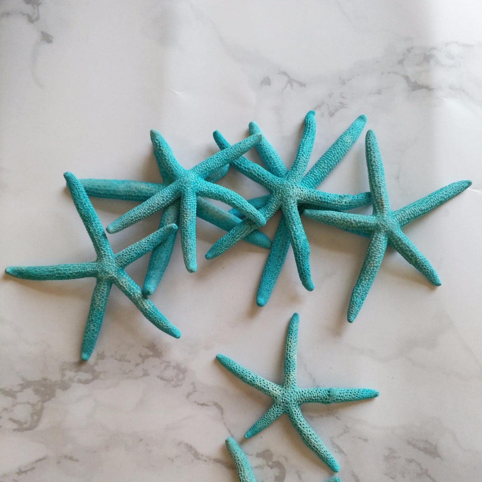 Étoile de mer naturelle bleue pour embellir un centre de table de mariage