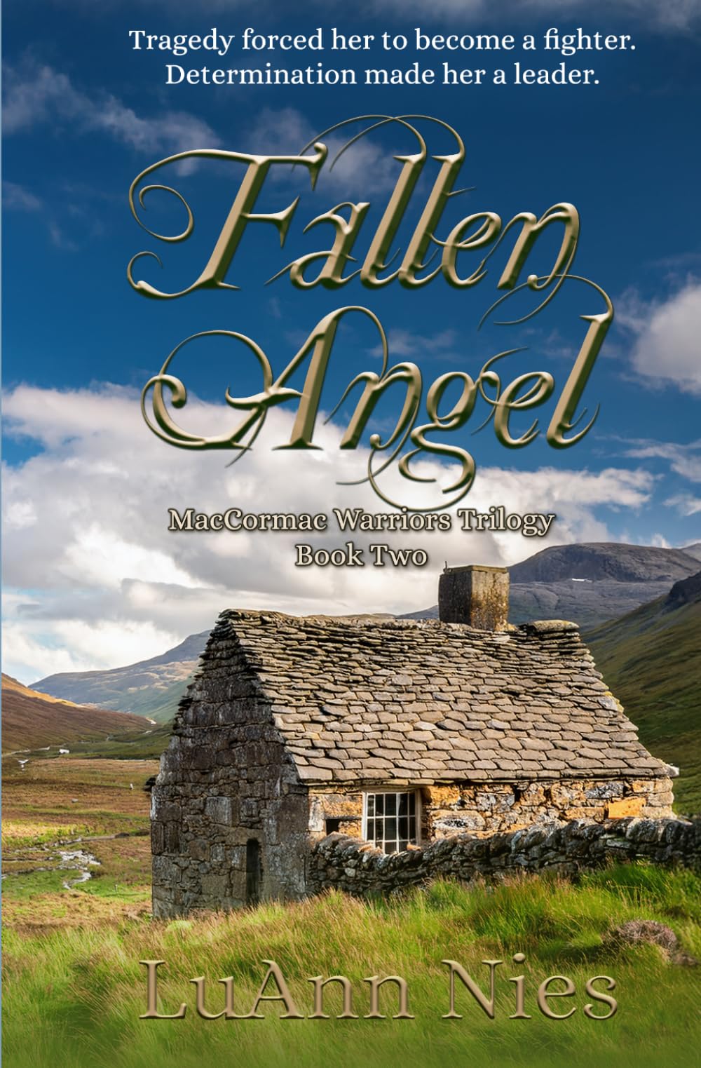 Fallen Angel (MacCormac Warriors)