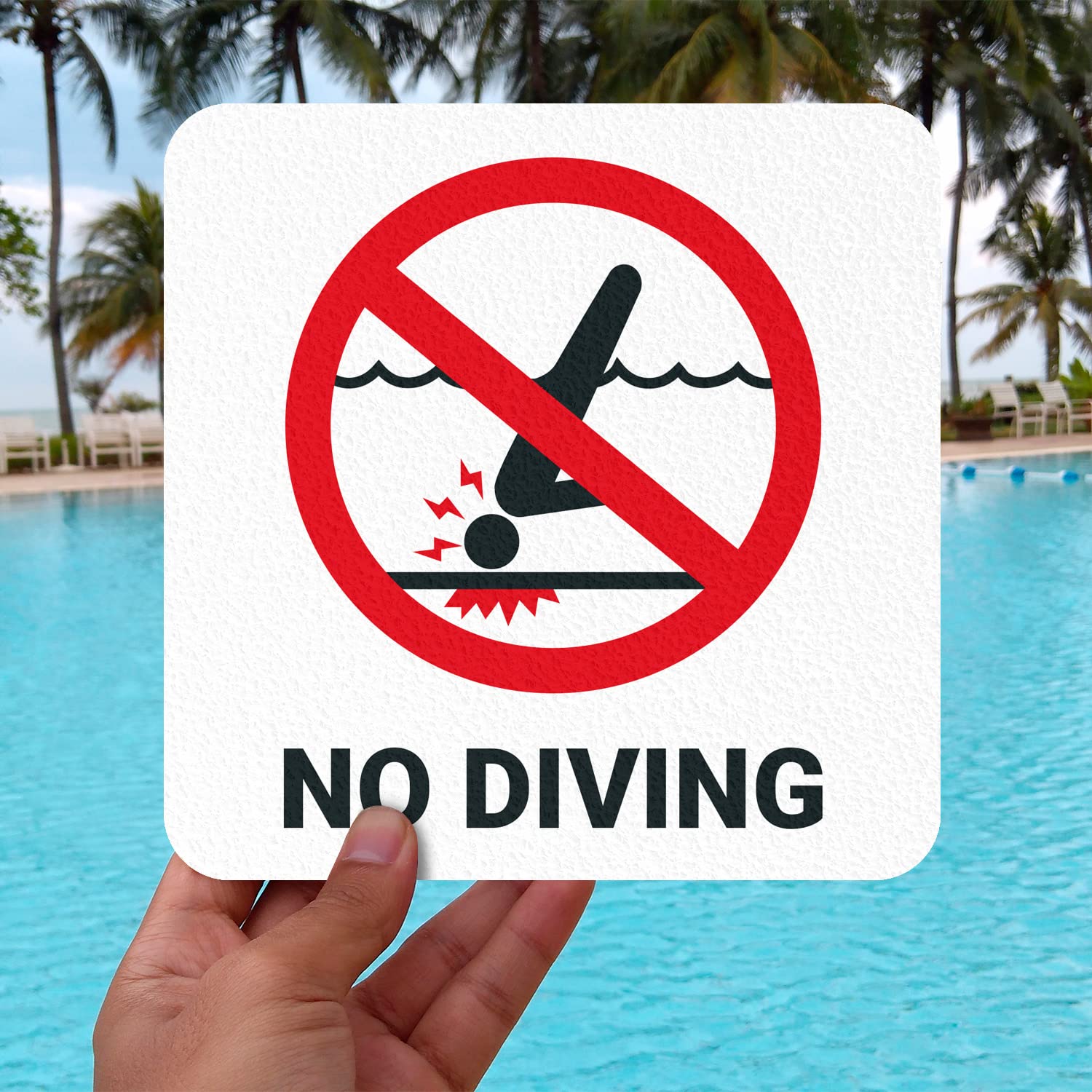POOL ZINE「SIGH」 No Splash Zone - Personalized Pool Sign - Etsy