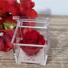 Stabilised Roses in Cube Box Various Colours with Gel and Sand (Red)