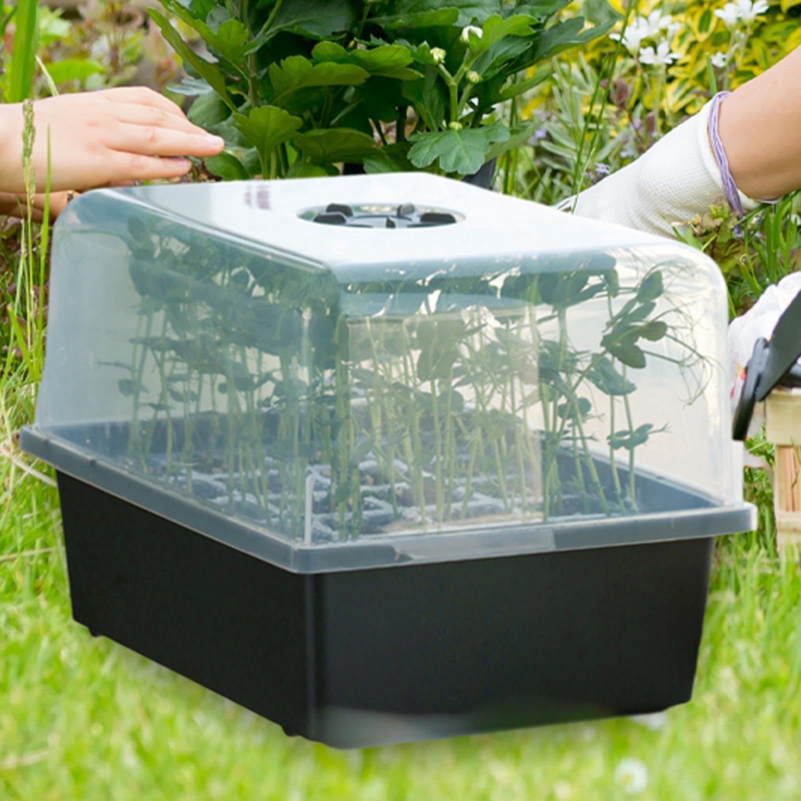 Kit de germination de – Kit de propagation de serre, pot de culture robuste, démarreur de germination ventilé économe en énergie pour serre biologique