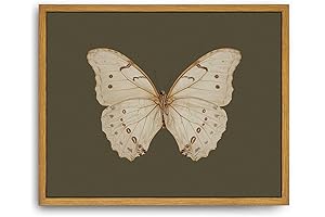 Roslynity Vintage Butterfly Art: Captivating Wall Décor for Nature Enthusiasts