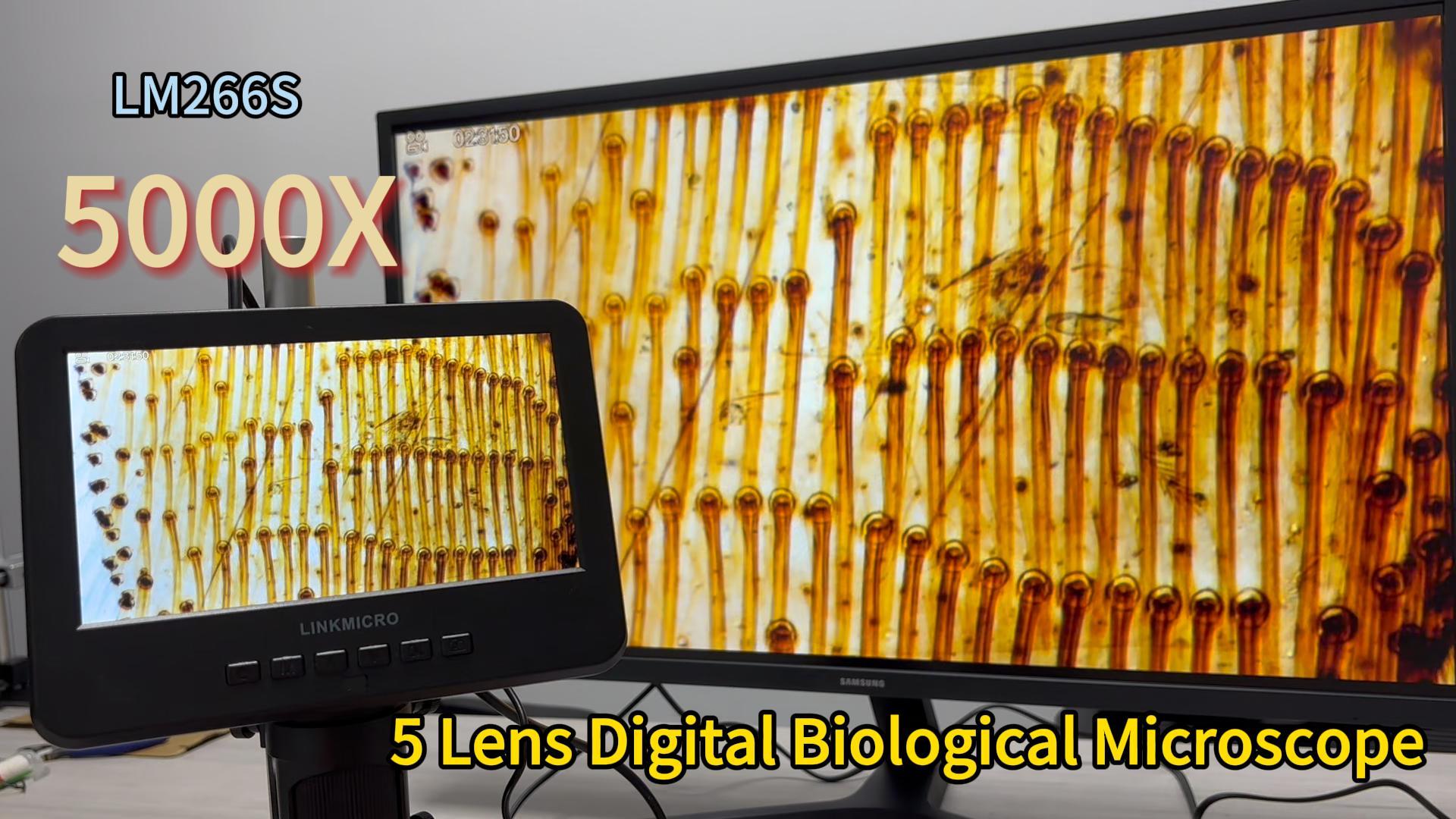 Amazon.com : LM266S 5 Lens HDMI Digital Microscope 5000X for