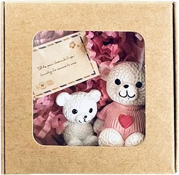 Bear In A Box - Cute Little Doll with Boxed Message Card | Cute Positive Home Decor Birthday Anniversary Holiday Graduation Wedding Favors | Gift Party Favors
