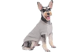 Xsmall Dog Sweaters Girl: The Perfect Fit for Your Furry Friend
