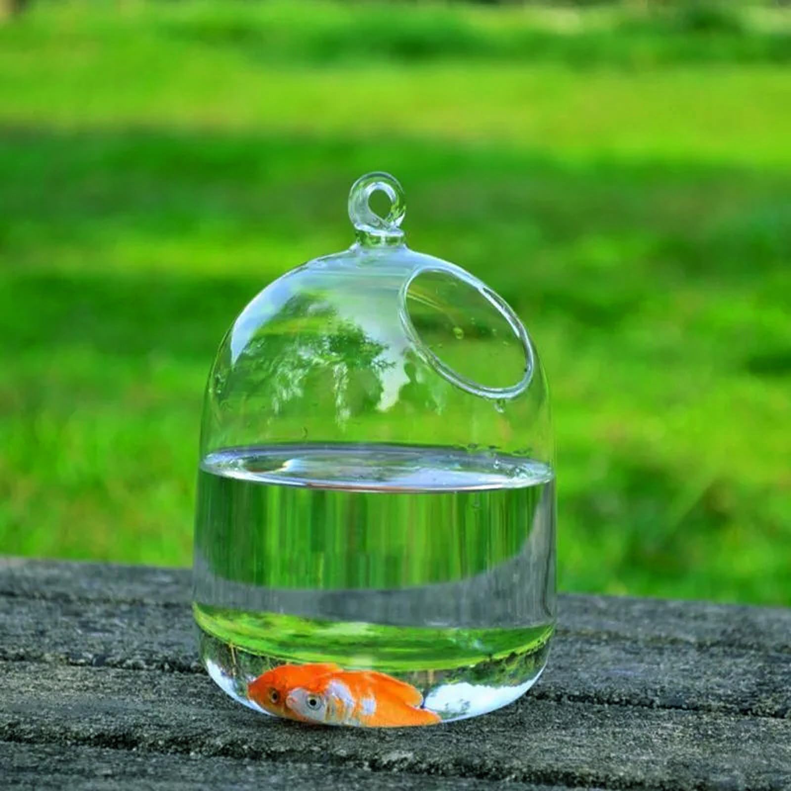 Desktop aquarium Thuis Aquarium Desktop Verdikt Glas Sier Creatieve Aquarium Thuis Hydrocultuur Vaas Viskom Decorviskom