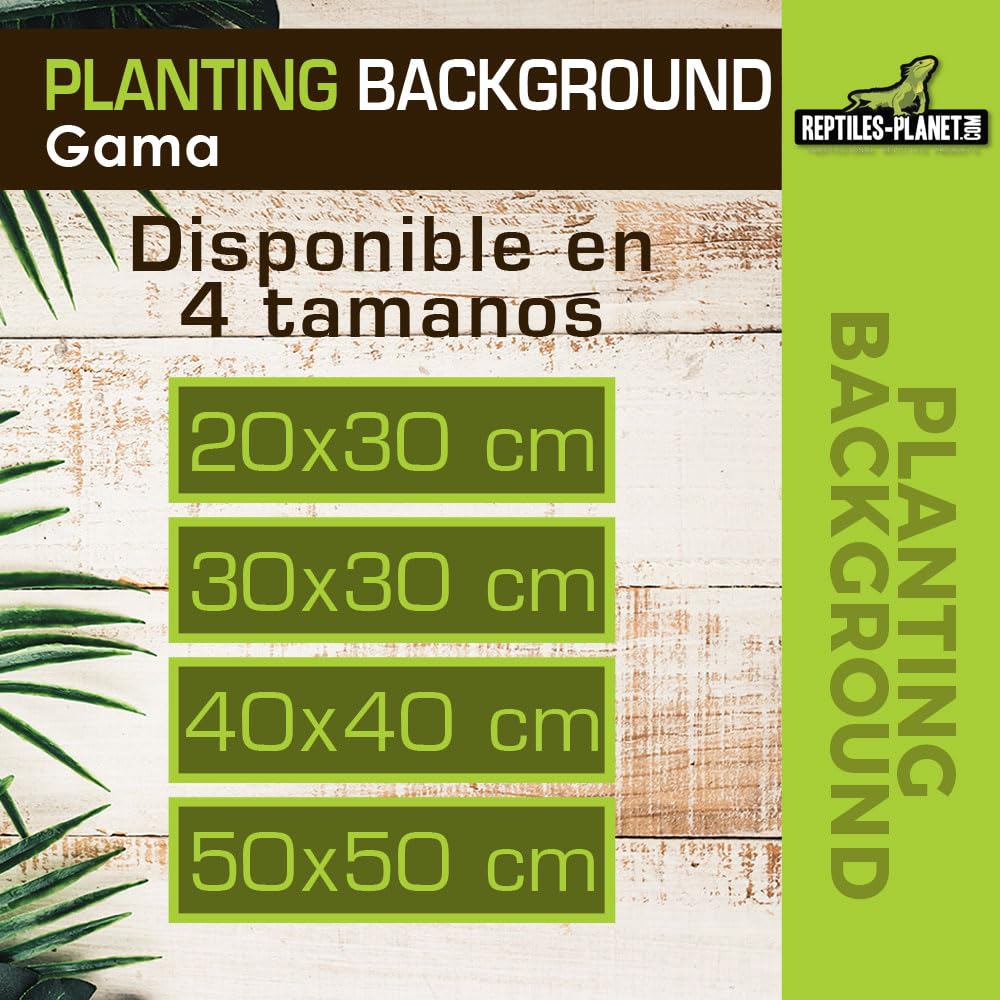 Reptiles Planet – Imagen de Fondo de Coco para terrarios para Planter 30 x 30 x 1 cm
