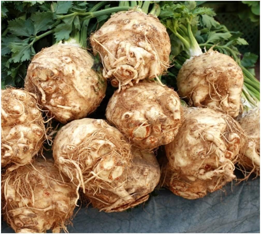 Premier Seeds DirectCeleriac - Giant Prague - 2.5 Grams
