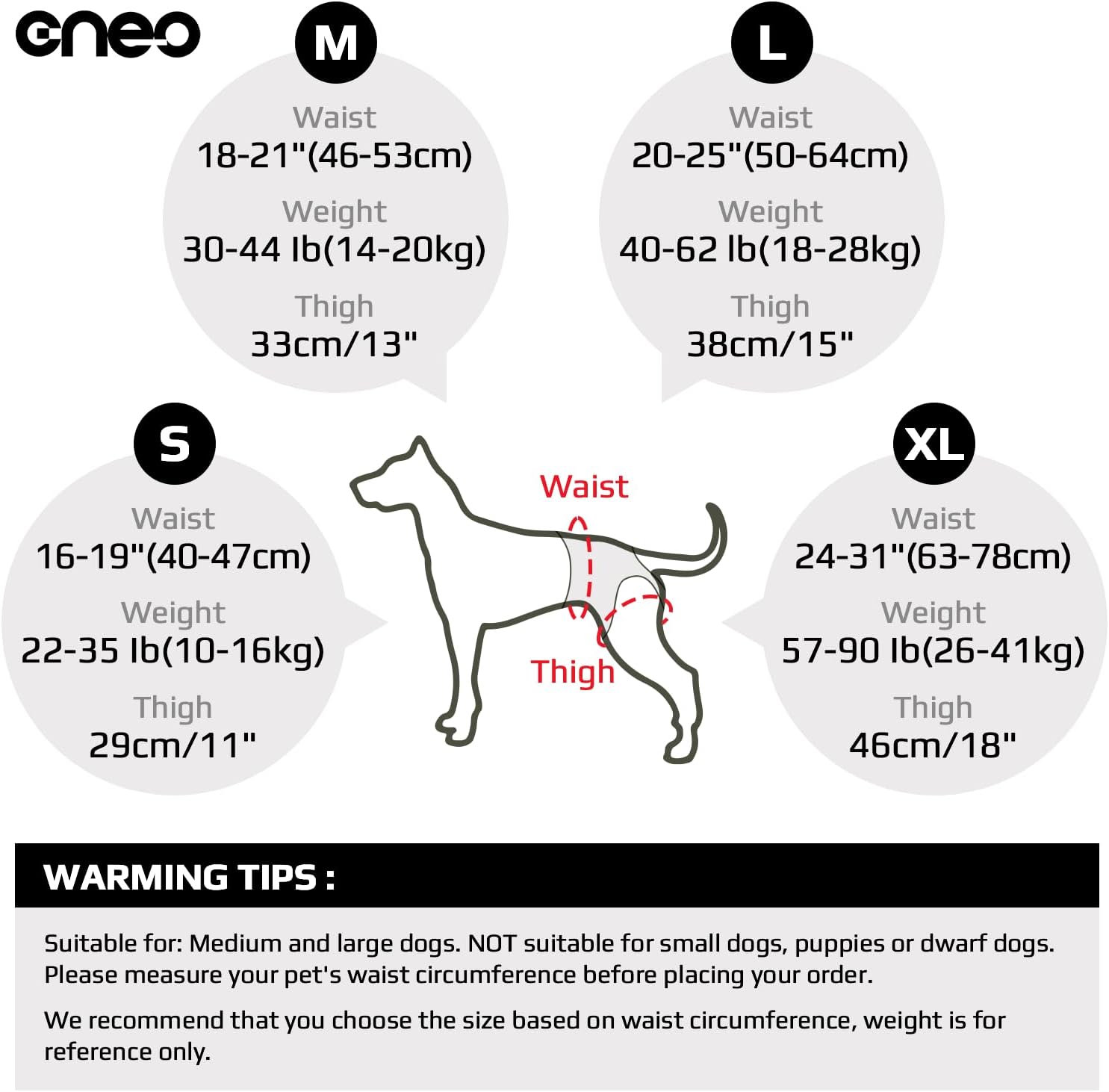 Dog Lift Harness - Adjustable Support for Medium Large Dogs, Comfortable Design with Padded Back Legs for Elderly, Injured, Arthritic, Senior, Disabled Dogs - Image 5