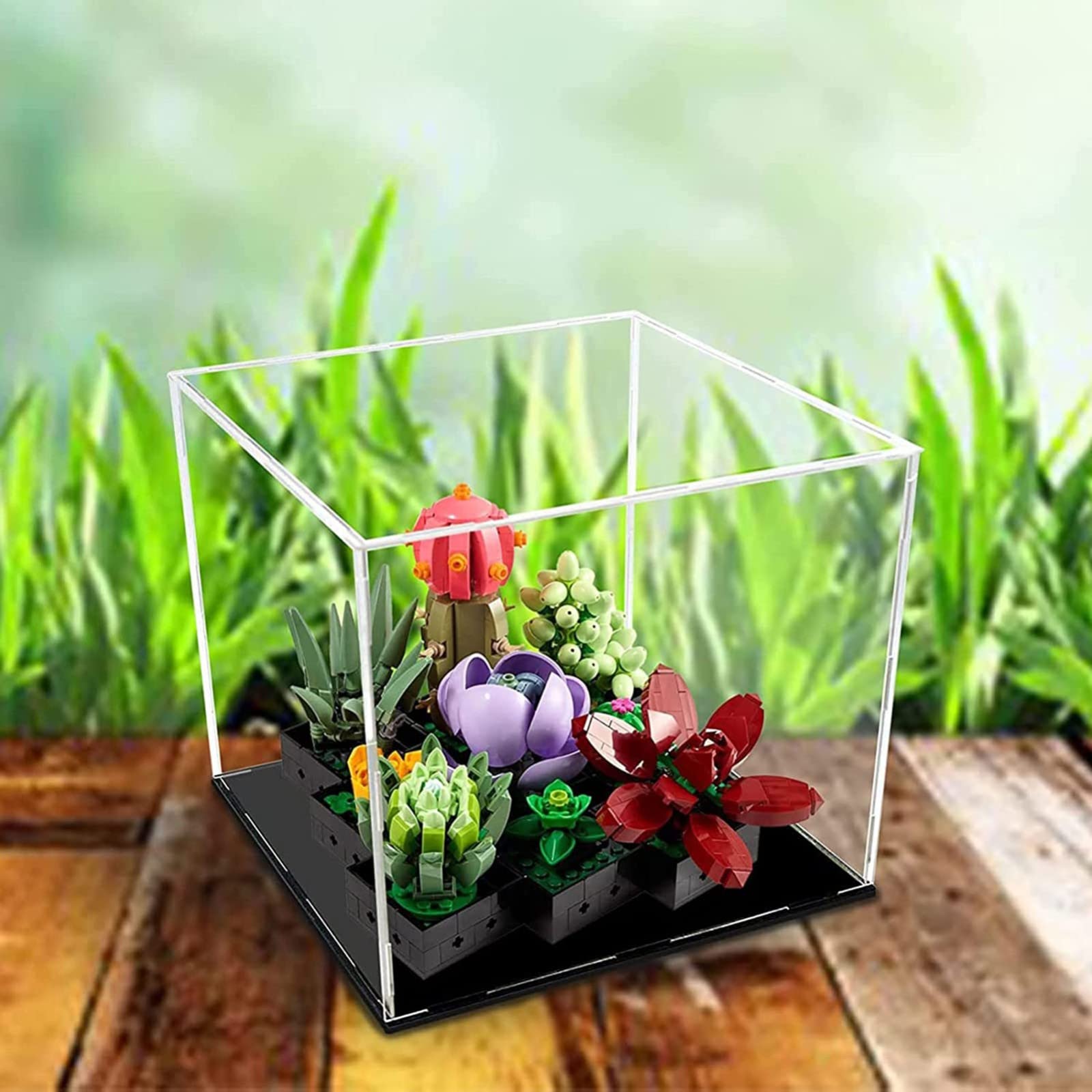 Amazon.co.jp: Lg 10309 多肉植物セット用アクリルディスプレイケース
