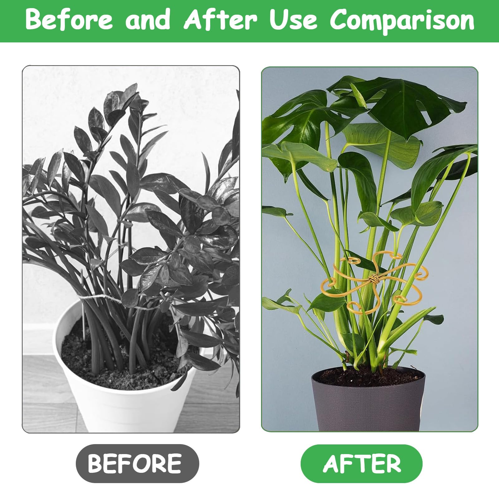 Lot de 5 supports de tige de plantes Iron Monstera - Support de tige durable à crochet pour une croissance saine - Ensemble de pinces en bambou pour stabilisation et soutien des feuilles - Cadeau