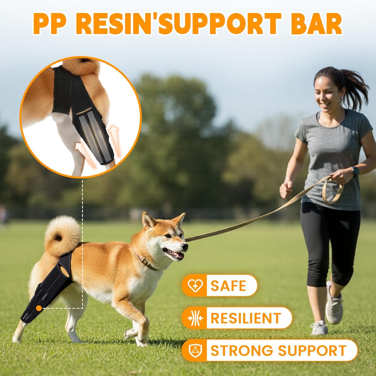 Dog Knee Brace for Hind Leg – Adjustable Rear Leg Support with 2 PP Resin Bars, Helps Torn ACL, Ligament Injuries, Luxating Patella & Hip Dysplasia Recovery for Left/Right Hind Leg (M)