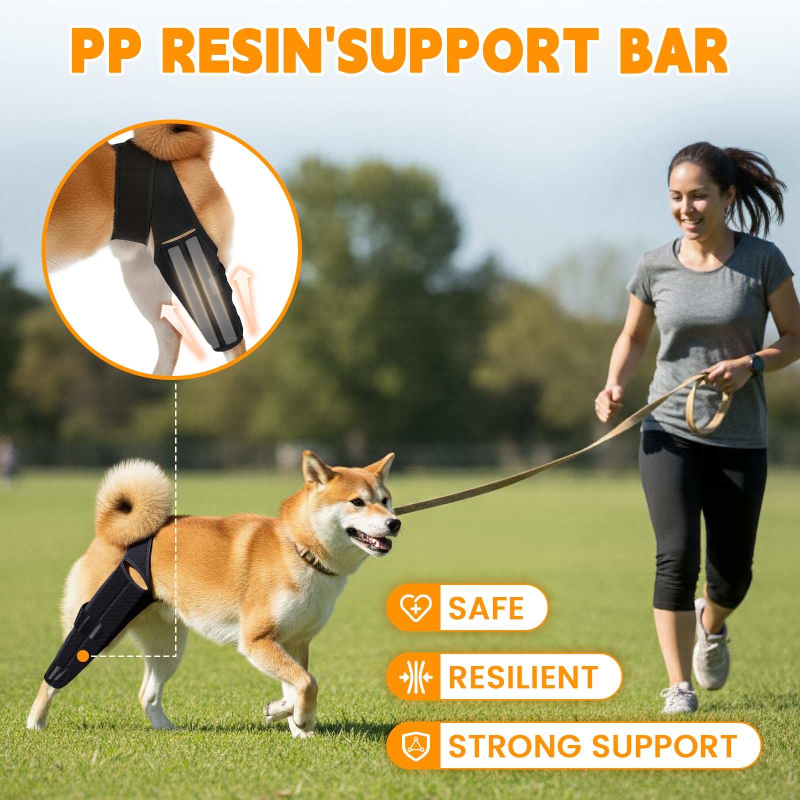 Rodillera para perro para pierna trasera – Soporte trasero ajustable con 2 barras de resina de polipropileno, ayuda a desgarrar ACL, lesiones de ligamentos, recuperación de displasia de