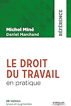 Download Le droit du travail en pratique PDF