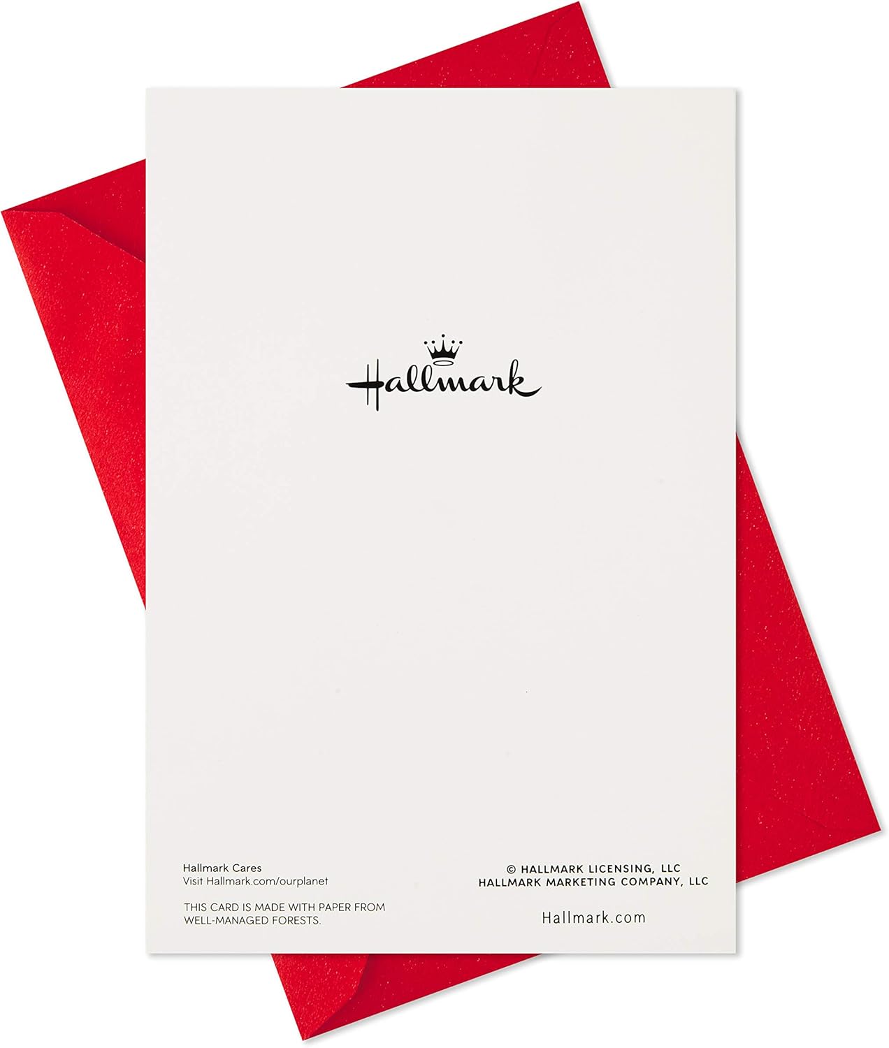 Hallmark Boxed Christmas Cards, Snowy Wreath (40 Cards and Envelopes) - Image 7