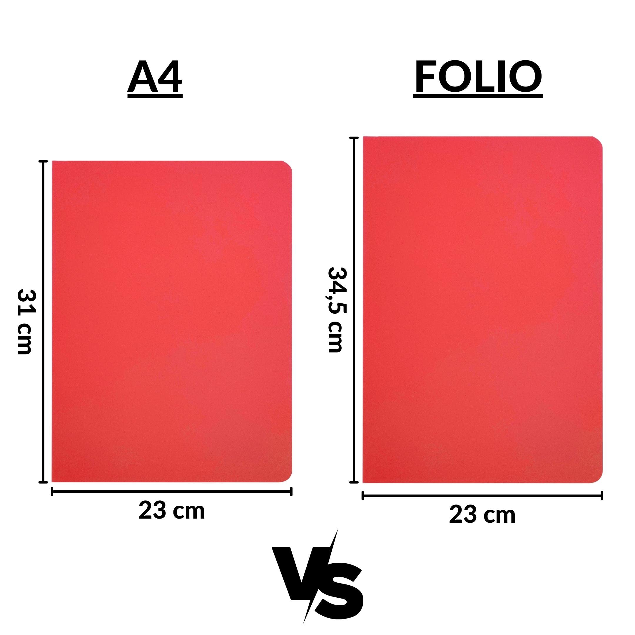 Raylu Paper® - Pack de 25 Subcarpetas de cartulina para documentos, colores vivos. Carpetas de cartulina kraft gruesa de 200g (Rojo, A4)