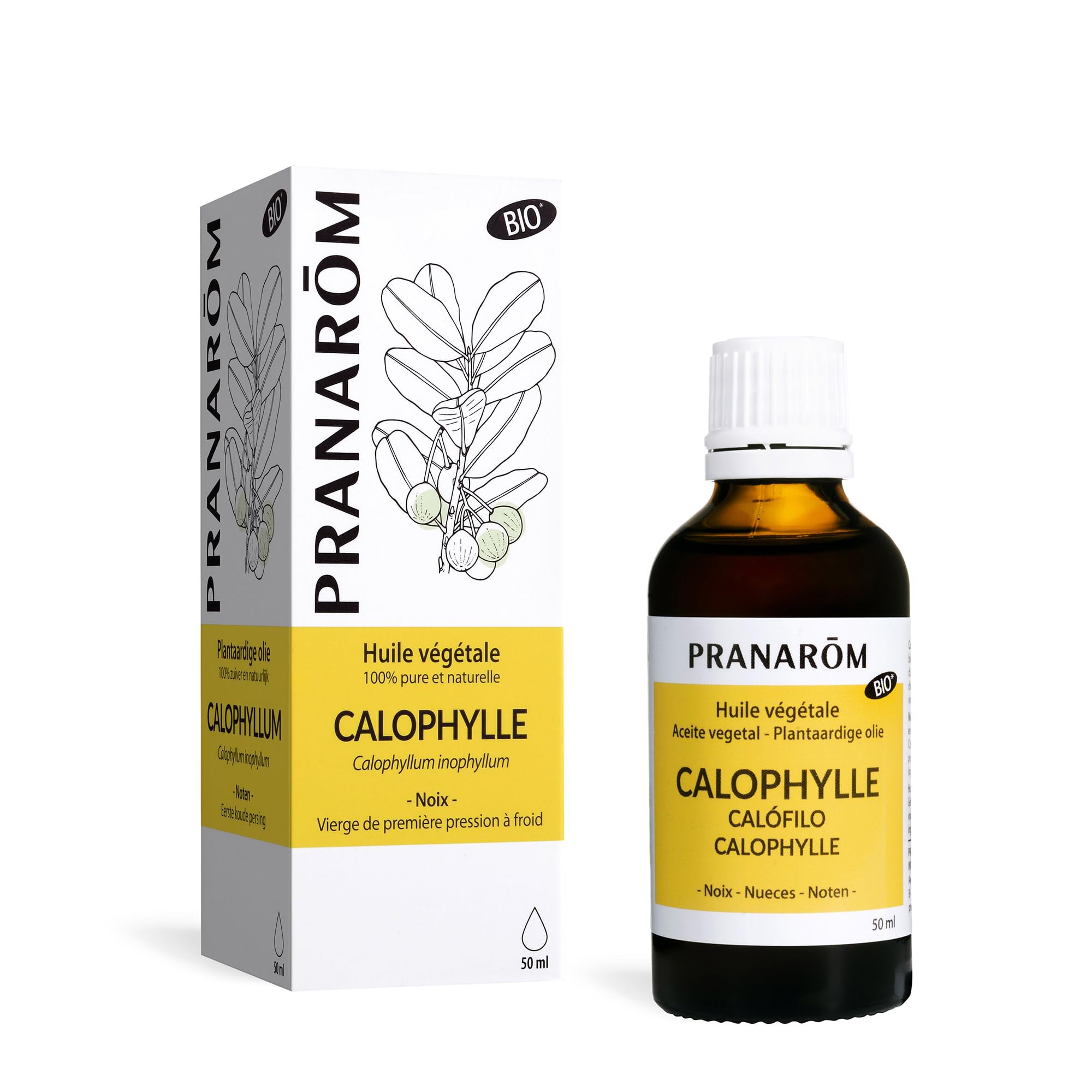 PRANAROM - Rosa Mosqueta Bio - Aceite Vegetal - Belleza De La Piel - Antiedad - Para una Piel Radiante Todos los Días - Rico En Omega 3, 6, 9-50ml — view 9