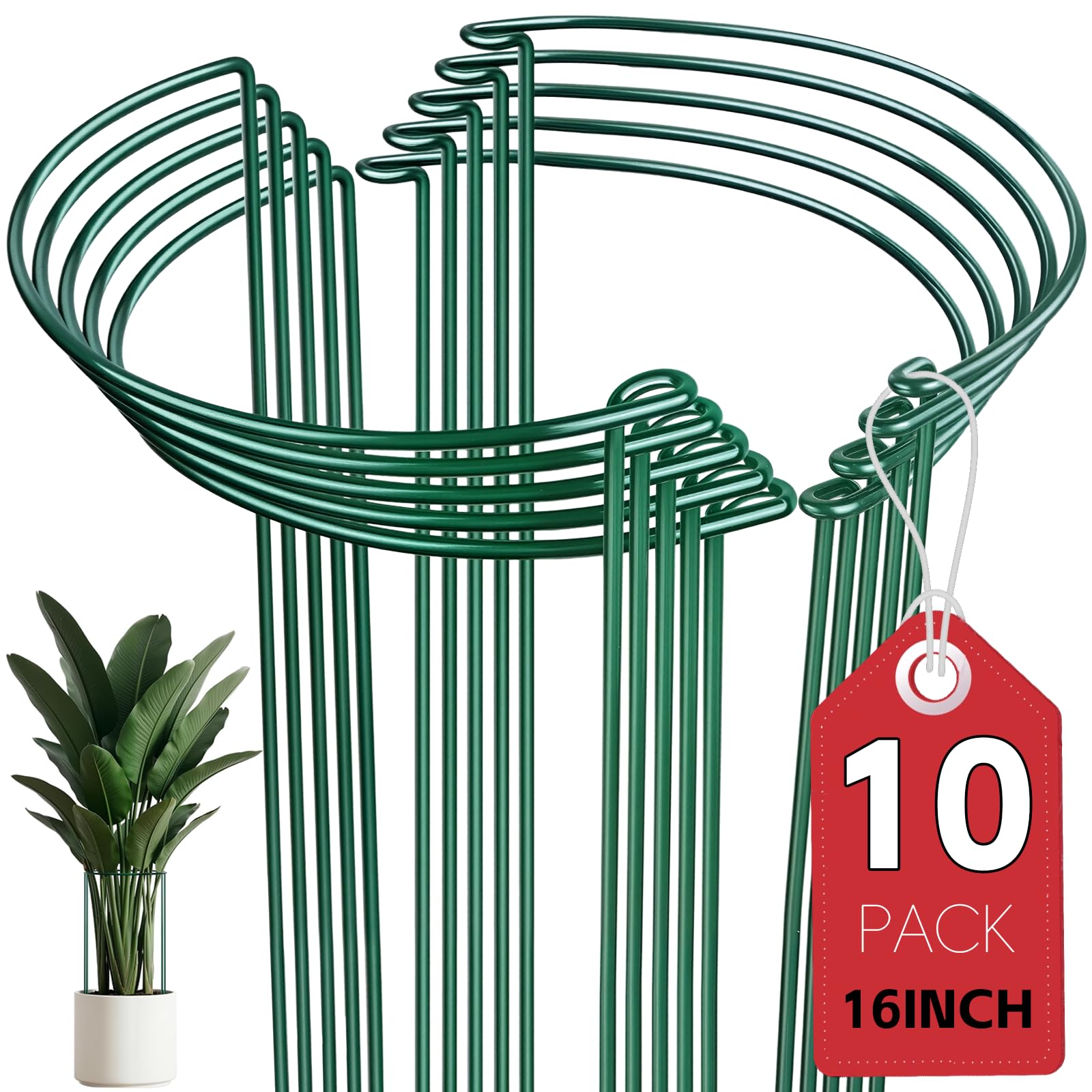 Thealyn 10 Pack Plant Support Stakes