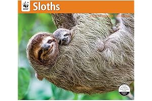 2022 Sloth Wall Calendar