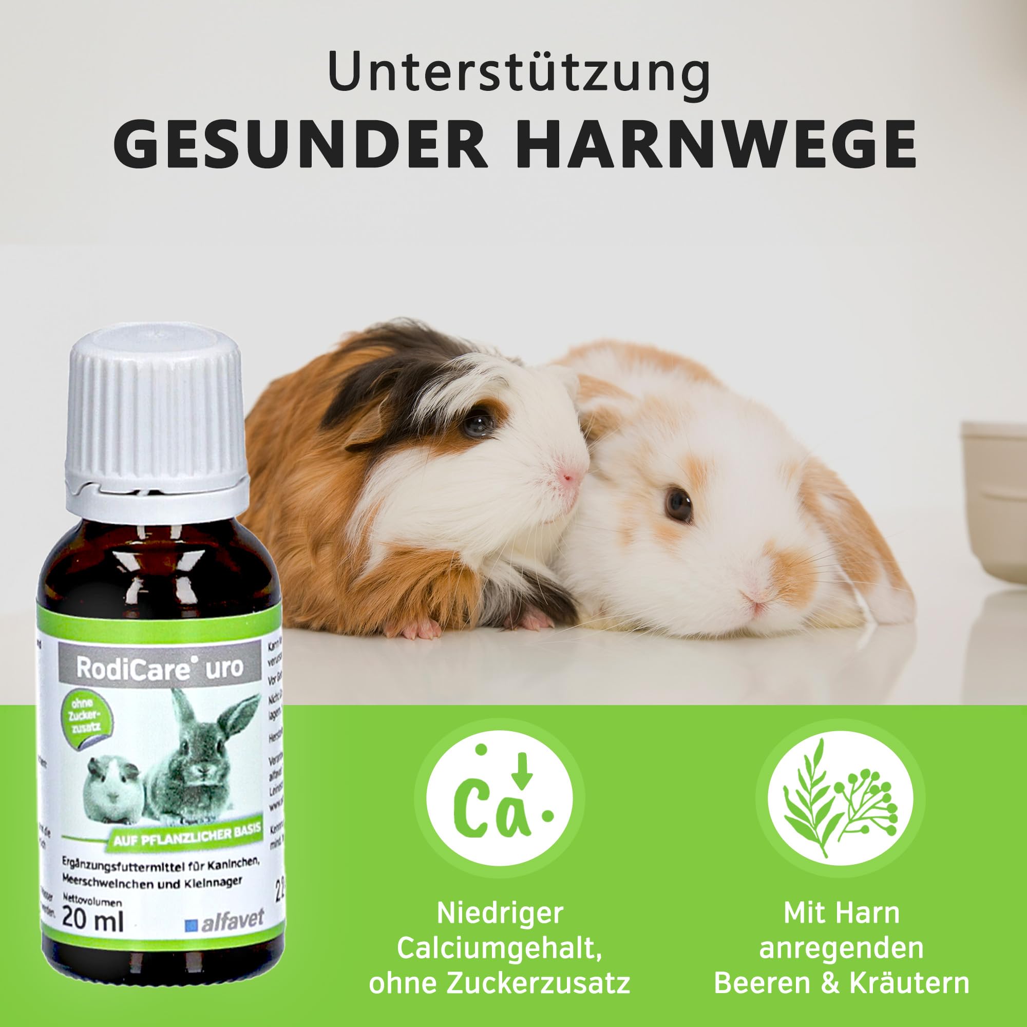 Alvafet RodiCare URO – 3 x 20 ml – Supplément alimentaire pour lapins, cochons d'Inde et petits rongeurs – pour réduire la formation de calculs urinaires - 3