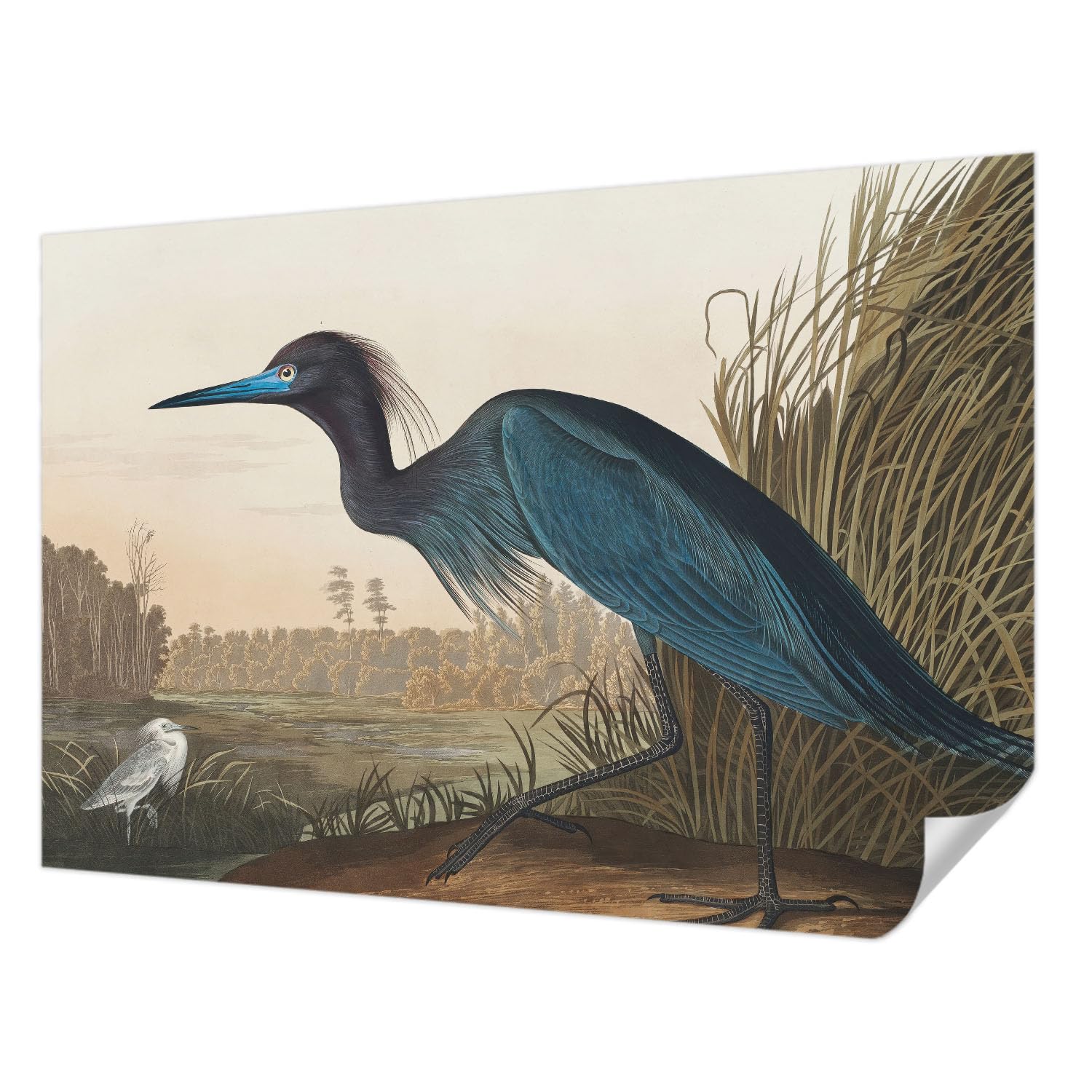 Papel pintado autocolante de aves acuáticas para renovar el dormitorio o la sala de estar moderna