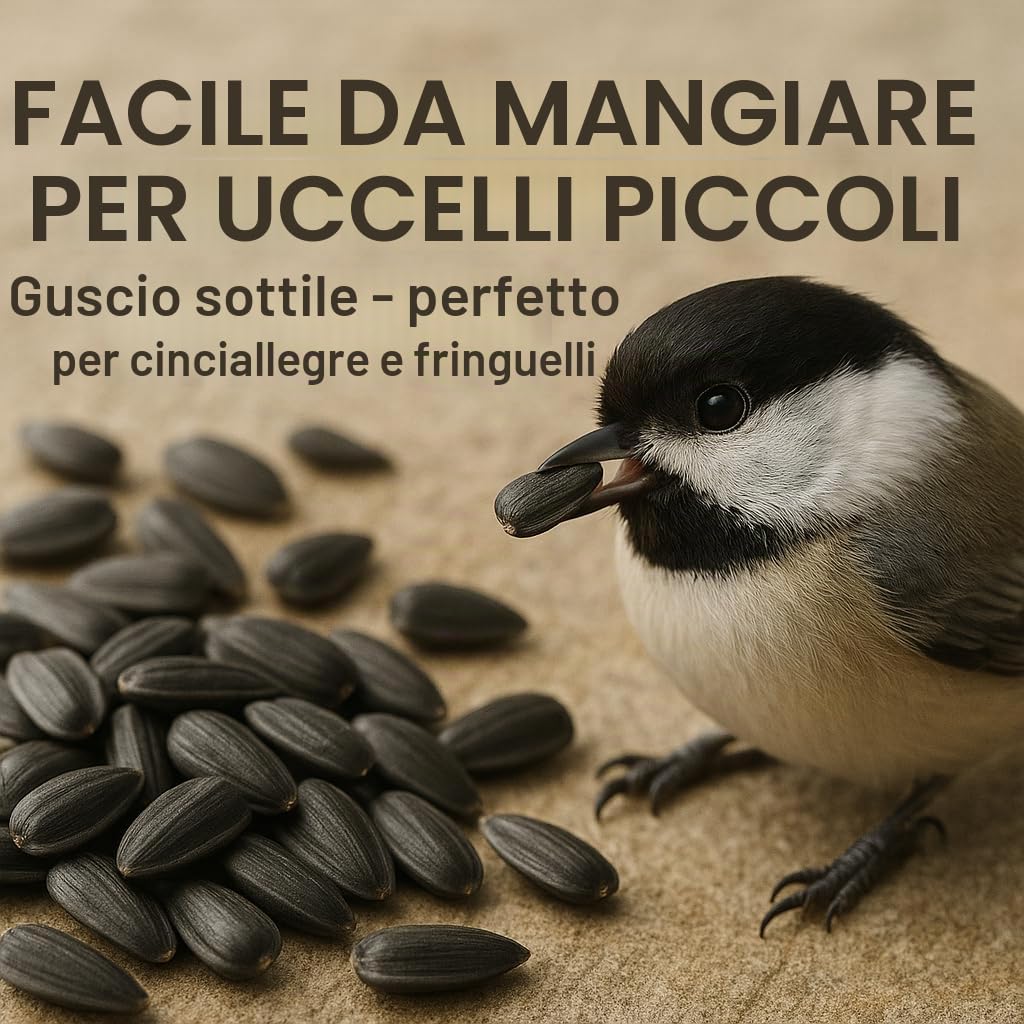 GiDeli Semi di girasole nero, 25 kg, in mangime per uccelli selvatici, per tutto l'anno