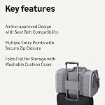 Amazon Basics Soft Cat & Dog Carrier with Adjustable Shoulder Strap, Airline-Approved, Foldable and Portable Design, Mesh Ventilation, Folds Flat for Storage