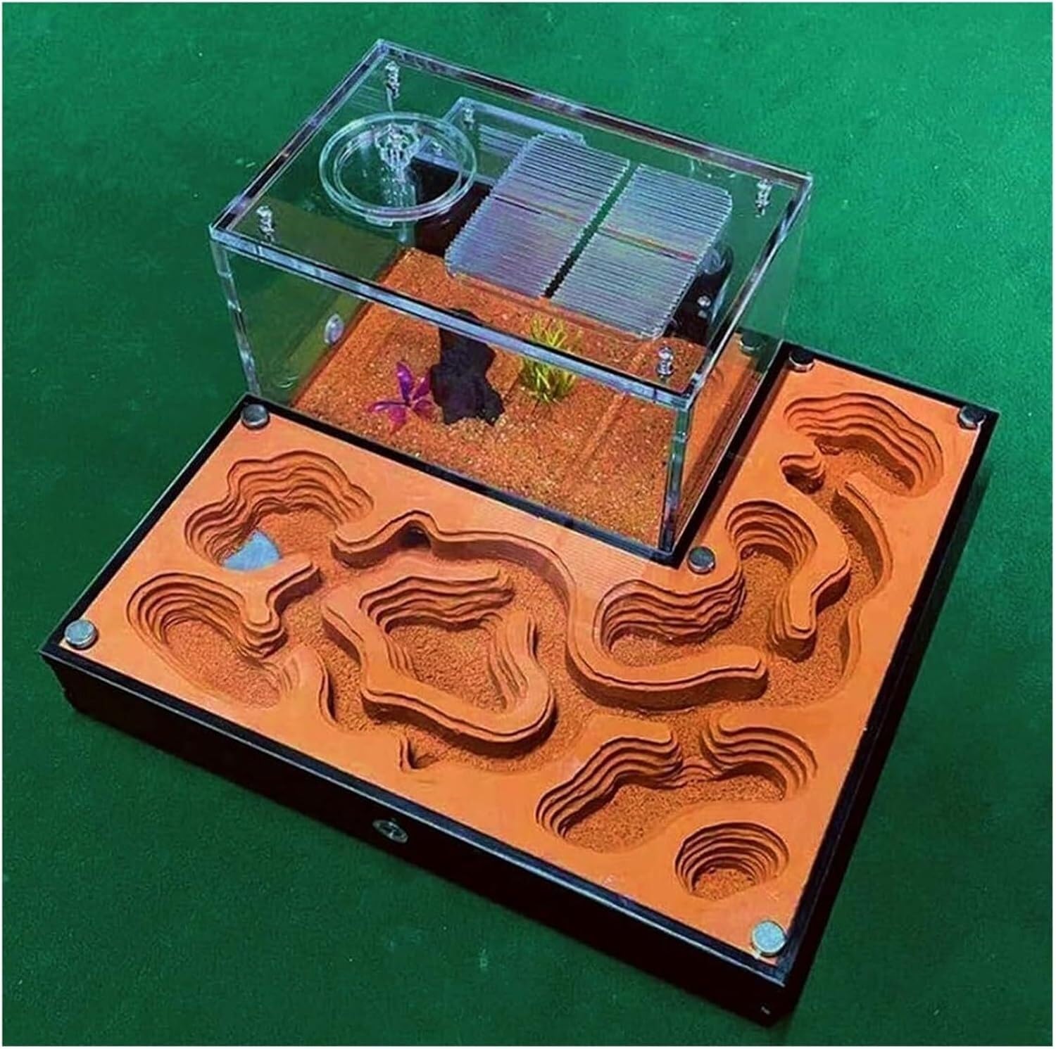 Stereoskopische Acrylbeobachtung Nest Acryl Ameisen Ökologisches Nest Insektenhaus Set Ameisenkönigin Zuchtschloss Ökologische Haustier Ameisenzuchtbox Studie über das Verhalten von Kolonien