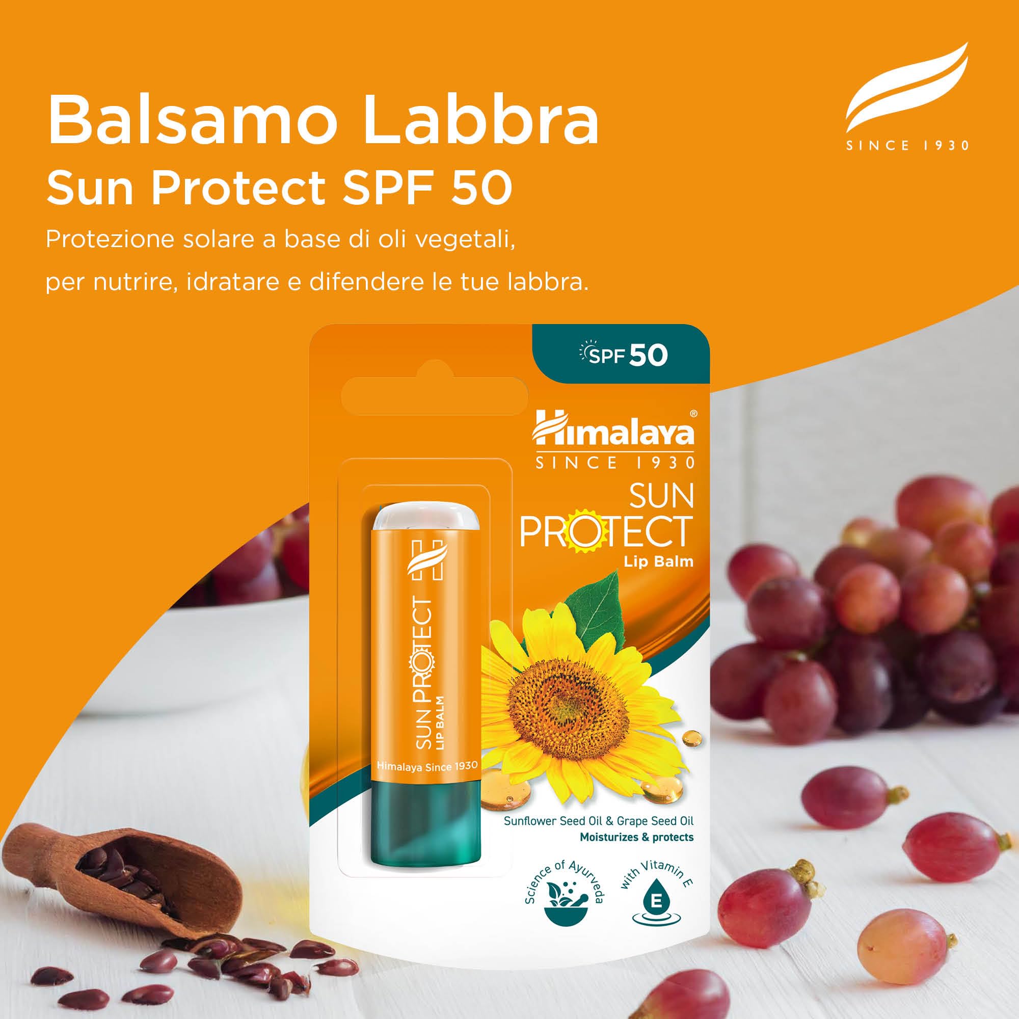 Himalaya Sun Protect Balsamo per labbra con SPF 50 e protezione dai raggi UVA, protegge le labbra dai danni del sole, 4,5g, Confezione da 1, Sun Protect 4.5g, Confezione singola