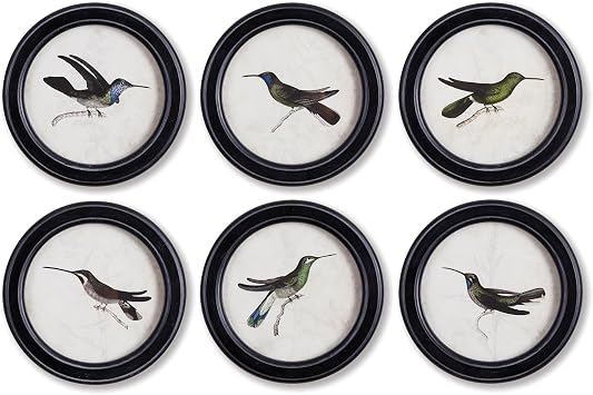 Napa Home & Garden Hummingbird Round Petite Prints Set of 6 Black