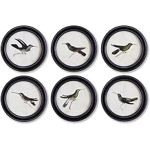 Napa Home & Garden Hummingbird Round Petite Prints Set of 6 Black