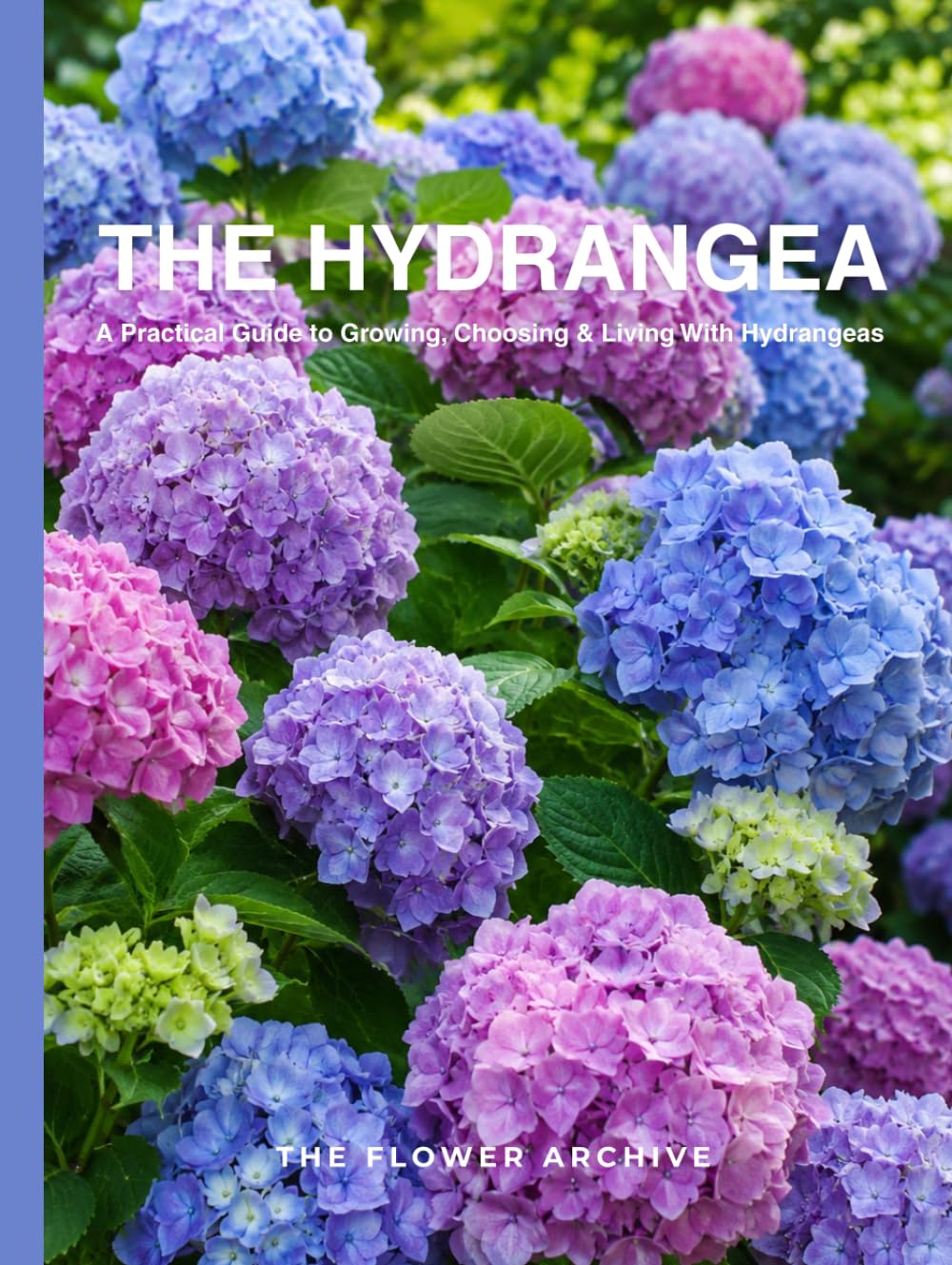 THE HYDRANGEA A Practical Guide to Growing, Choosing & Living With Hydrangeas: A Large Decorative Hardcover Coffee Table Book and Curated Flower ... Facts, Variety Profiles, and Insights