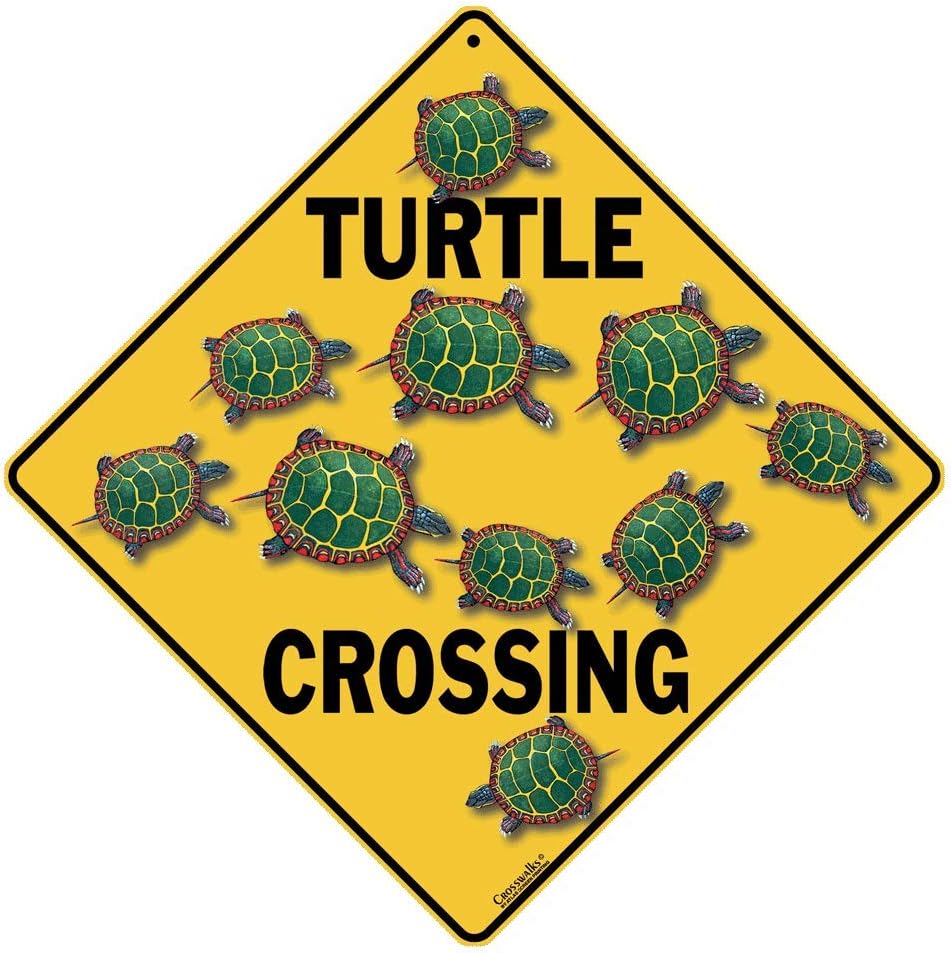 Amazon.com: CROSSWALKS Turtle Crossing 12