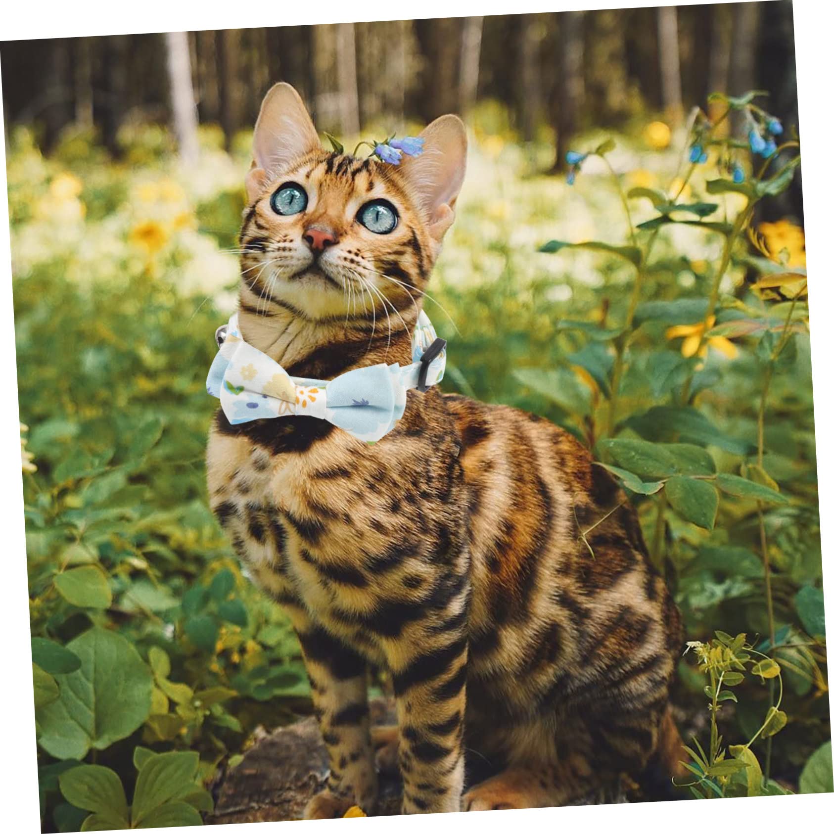 minkissy 10pièces Collier pour Chat avec Cloche Ensemble De Colliers Réglables pour Chiots Et Motif Carreaux Accessoire pour Animaux De Compagnie