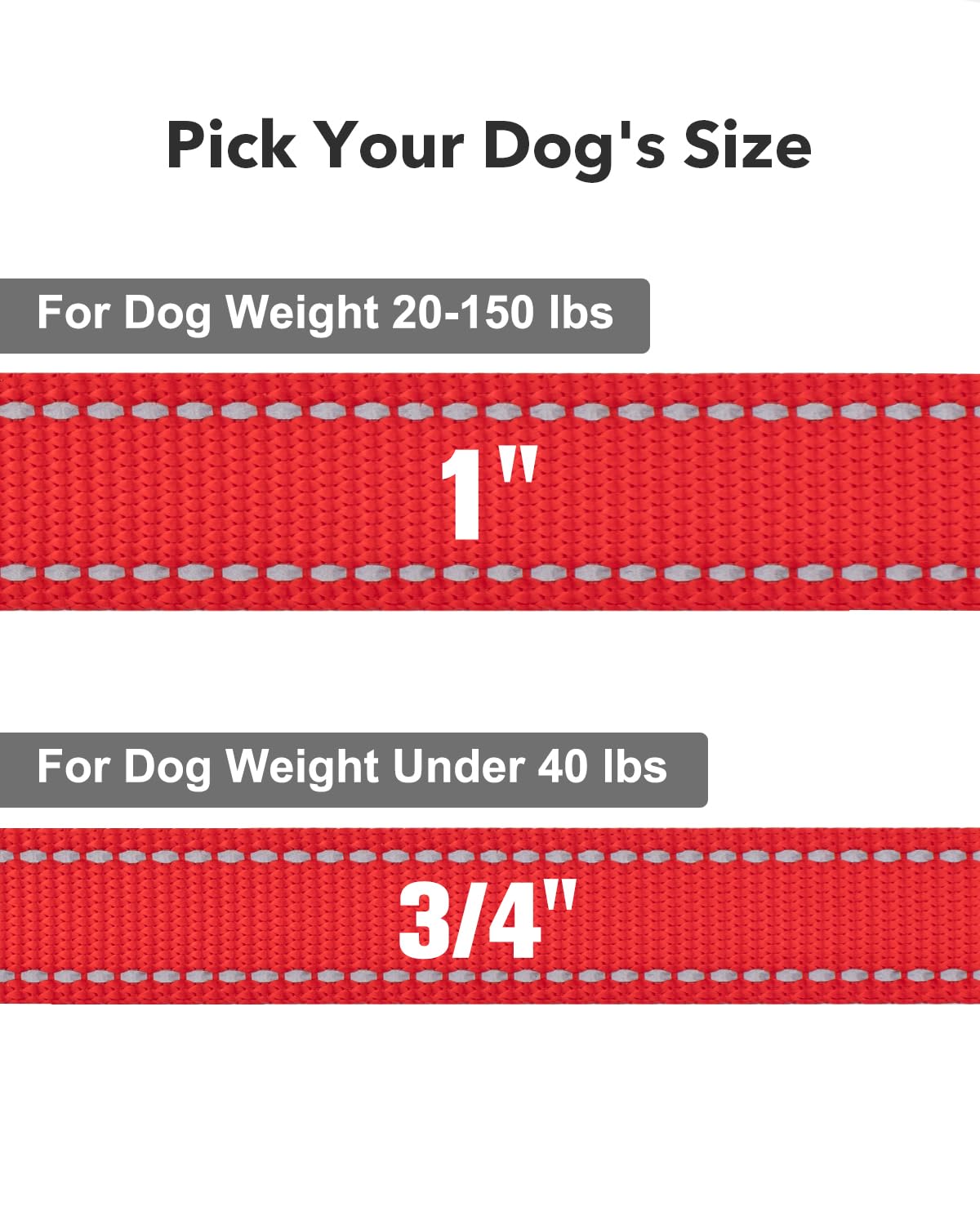 Taglory Guinzaglio per Cani Riflettente con Manico Imbottito e Gancio in Metallo, Nylon Resistente Addestramento Cane Guinzaglio, 1.2 m x 2.0 cm, Rosso